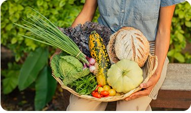 Farmer holding a basket of harvested vegetables